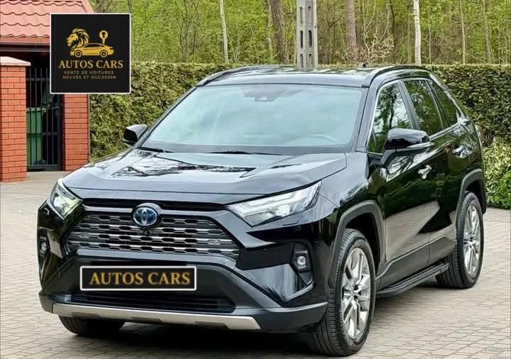 Toyota RAV4 Executive 2.5 Hybrid 222 CV