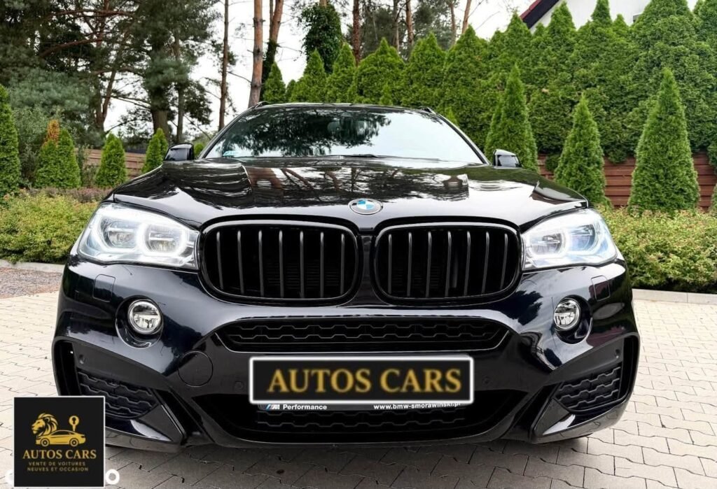 BMW X6 xDrive40d M Sport SUV Coupé Diesel Automatique 313 CV