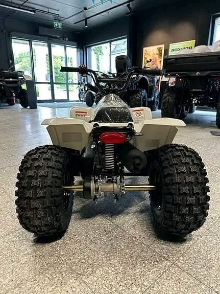 SMC Buzz Maxi 85 ATV Essence 83 cc 8 ch 2026
