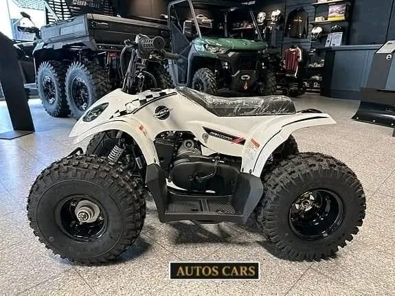 SMC Buzz Maxi 85 ATV Essence 83 cc 8 ch 2026